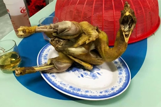 Sai lầm khi luộc gà khiến món ăn thành "thảm họa"