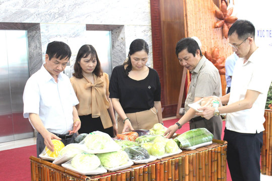Chủ động hỗ trợ sản xuất công nghiệp và hoạt động thương mại 