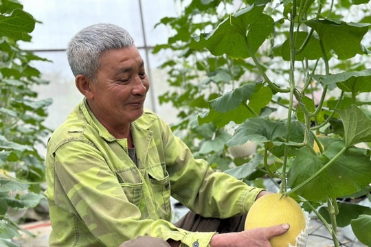 Thanh Miện có thêm 3 sản phẩm OCOP