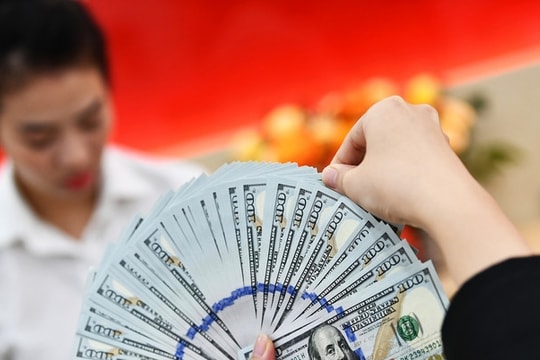 Sáng 14/1, giá vàng dự báo tăng mạnh, dầu và USD đi lên