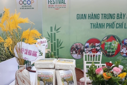 Cung ứng khoảng 20 tấn gạo nếp cái hoa vàng An Lạc phục vụ Tết