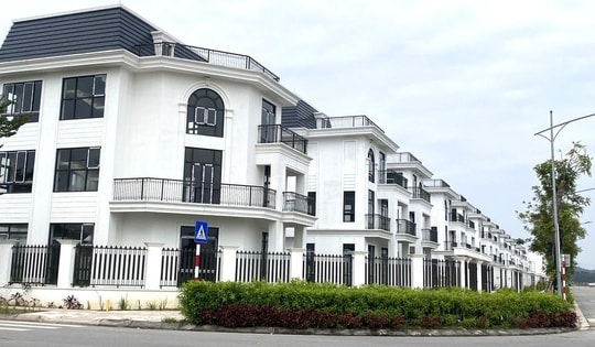 Bất động sản 2023, tiền đổ quá nhiều vào đất nền để đầu cơ