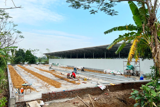 Một hộ dân ở Gia Lộc xây chuồng trại vi phạm công trình thủy lợi