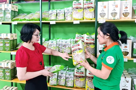 Hải Dương hỗ trợ kết nối, tiêu thụ các sản phẩm OCOP tỉnh Phú Thọ