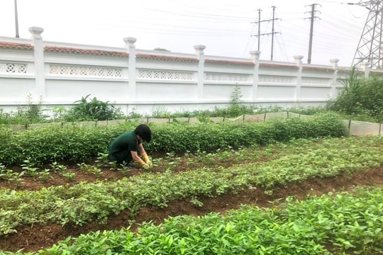 Nguồn thu tăng gia của lực lượng vũ trang tỉnh Hải Dương đạt trên 700 triệu đồng