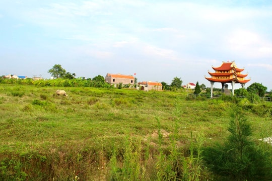 Đề nghị thu hồi đất của Công ty CP Vinamit