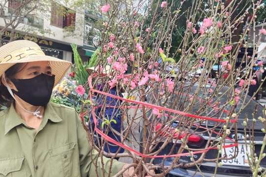 Hoa Tết “xuống phố” sớm