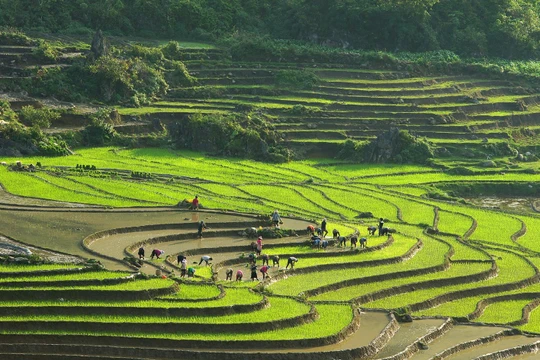 Làm mới hình ảnh, chinh phục mục tiêu đón 8,5 triệu lượt khách đến với Lào Cai