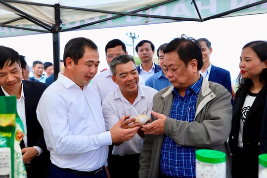 Bộ trưởng Nông nghiệp và Phát triển nông thôn Lê Minh Hoan ấn tượng với nông dân Kinh Môn