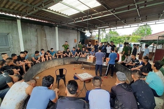 Bắt 22 đối tượng đá gà ăn tiền tại Cẩm Giàng