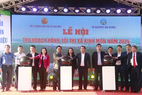 Ấn tượng Lễ hội thu hoạch hành, tỏi Kinh Môn năm 2024