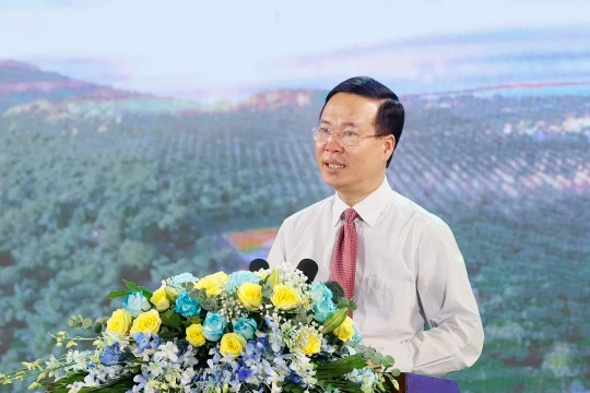 Chủ tịch nước dự chương trình “Xuân biên phòng ấm lòng dân bản”