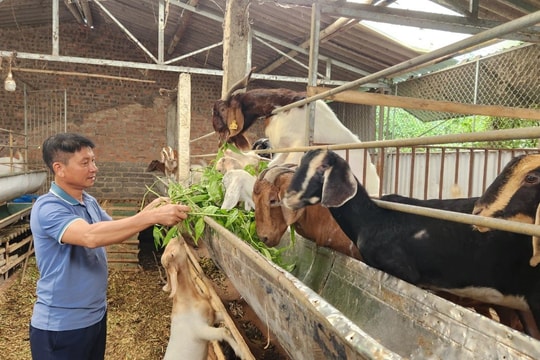 Hải Dương yêu cầu quản lý chặt môi trường cơ sở chăn nuôi