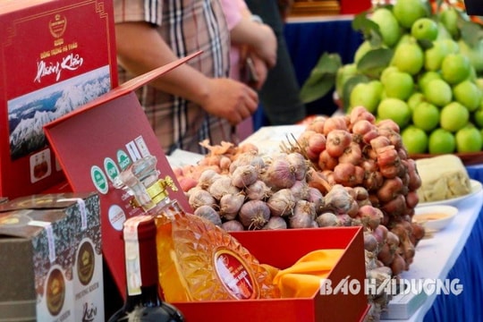 Cận cảnh các gian hàng trưng bày tại Lễ hội thu hoạch hành, tỏi Kinh Môn
