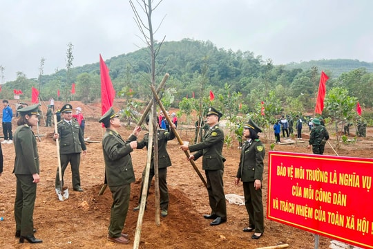 Hải Dương phát động Tết trồng cây xuân Giáp Thìn từ ngày 19/2
