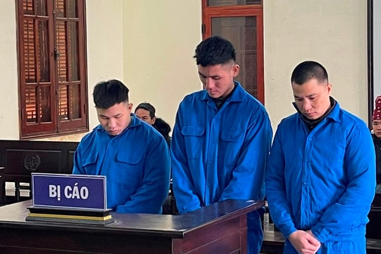 Mua bán ma túy ở Cẩm Giàng, 3 đối tượng ở Sơn La lĩnh án