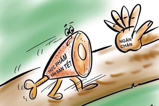 Chặn ngay thực phẩm bẩn