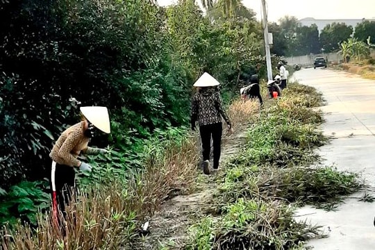 Giữ gìn vệ sinh môi trường dịp Tết