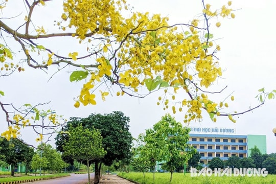 Xây dựng Trường Đại học Hải Dương thành trường trọng điểm của tỉnh và khu vực