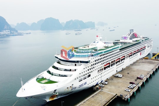 Tàu biển du lịch Quốc tế đưa 400 khách thăm Vịnh Hạ Long