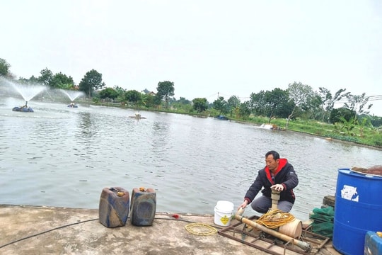 Nông dân Hải Dương chủ động chống rét cho đàn vật nuôi, thủy sản