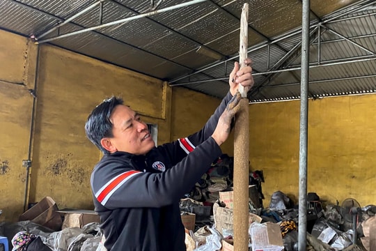 Kỳ công làm hương Tết khổng lồ ở Dưỡng Thái Bắc