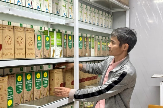 Doanh nghiệp thành lập mới tăng gần 25%, tiếp tục giải pháp thúc đẩy đầu tư tư nhân