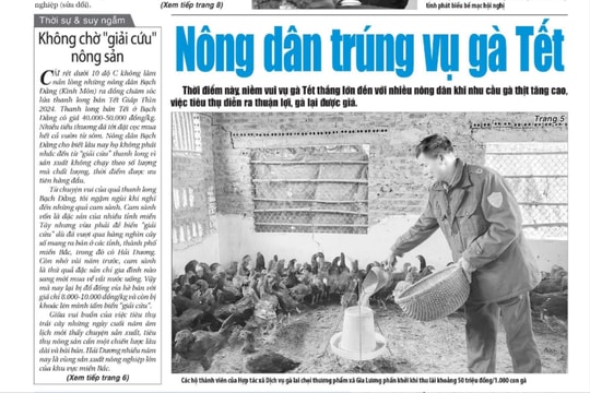 Xem gì trên báo Hải Dương ngày 30/1?