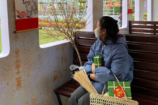 Uể oải đi làm cận Tết