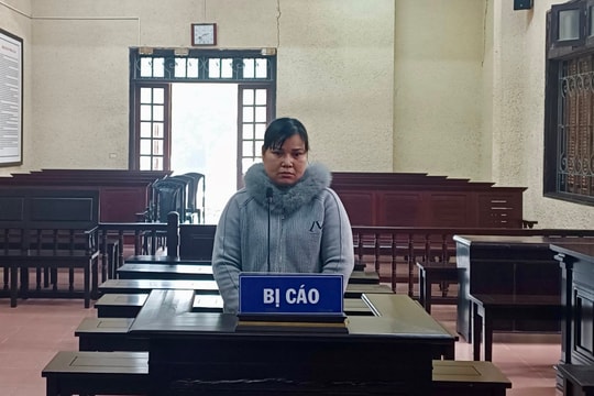 “Nữ quái” từ Nam Định mạo nhận bố là Thiếu tướng công an lừa đảo hơn 3,3 tỷ đồng ở Hải Dương