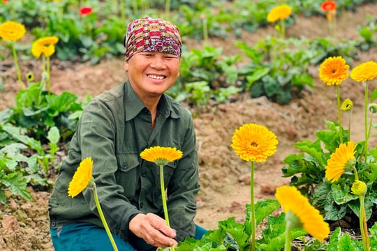 Muôn màu xuân ở làng hoa "không có Tết"