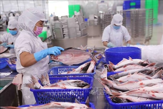 Vietnam strives to increase competitiveness for agricultural exports to US