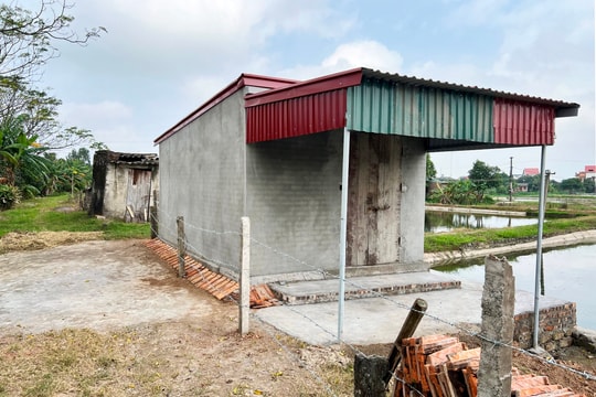 Phát sinh 2 vi phạm công trình thủy lợi Bắc Hưng Hải