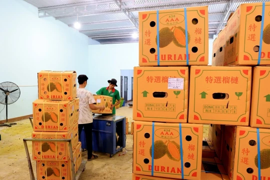 Đề nghị Trung Quốc mở rộng nhập khẩu hàng hóa, nông thủy sản của Việt Nam