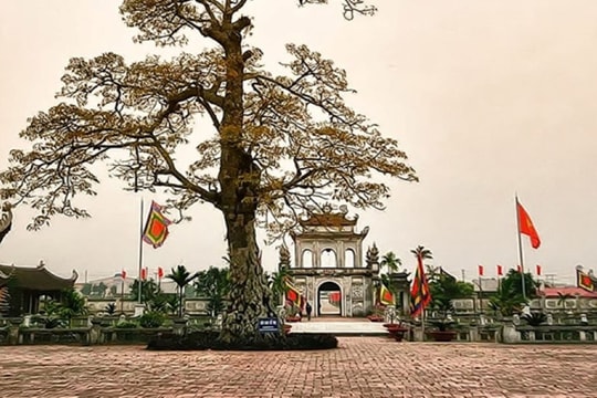 Con về Văn miếu Mao Điền
