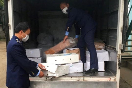 Quản lý thị trường Hải Dương phát hiện xe ô tô vận chuyển 800 kg xương, mỡ lợn, chân gà không rõ nguồn gốc