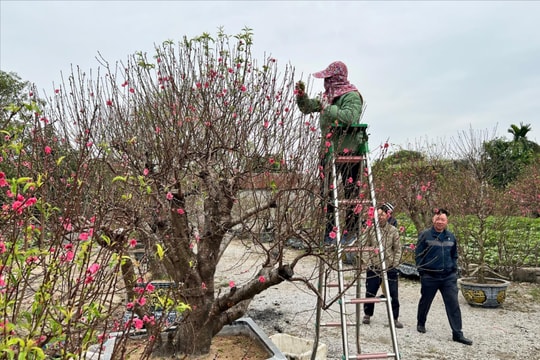 Hải Dương chuyển rét từ đêm 7/2