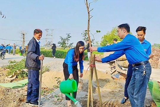 Hải Dương tổ chức phát động Tết trồng cây xuân Giáp Thìn sớm hơn dự kiến