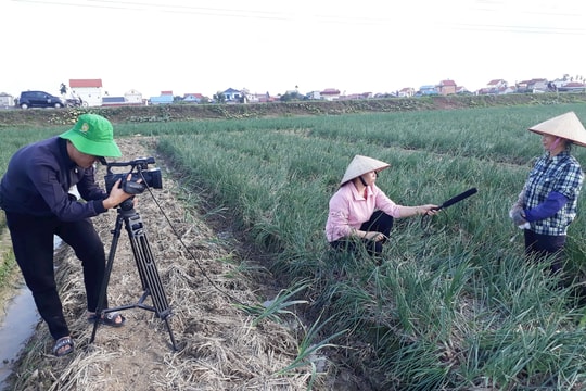 Góp thêm một nhành xuân
