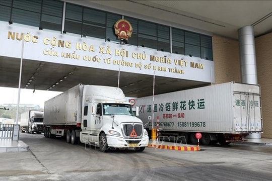 State budget revenue from imports, exports up 13.2% in January
