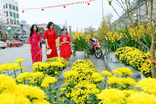 Chí Linh vào xuân