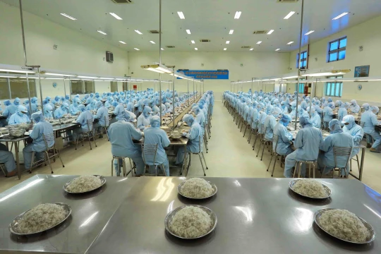 Phê duyệt các Đề án thực hiện Chương trình Thương hiệu quốc gia năm 2024