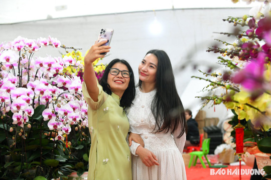 Ước nguyện đầu xuân