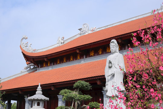 Spring colors at Hai Duong pagodas