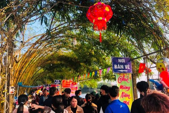 Đảo Cò ở Thanh Miện hút khách dịp Tết