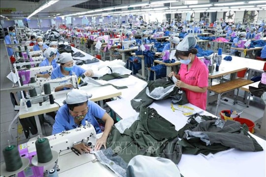 Thị trường lao động sẽ phục hồi trở lại trong năm 2024
