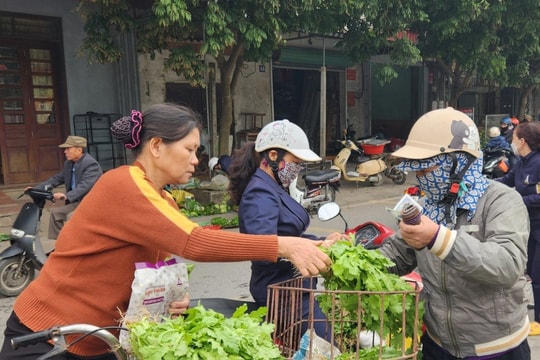 Nguồn cung hàng hóa dồi dào, giá một số mặt hàng ở Hải Dương tăng nhẹ dịp Tết