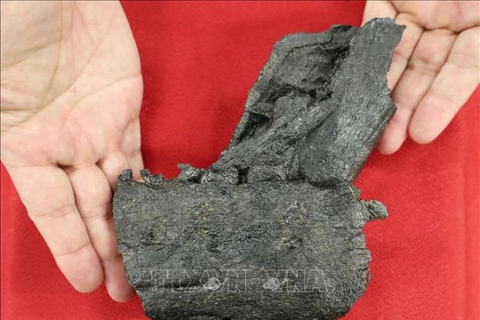 Phát hiện hóa thạch xương hàm khủng long tyrannosaurid lần đầu tiên tại Nhật Bản