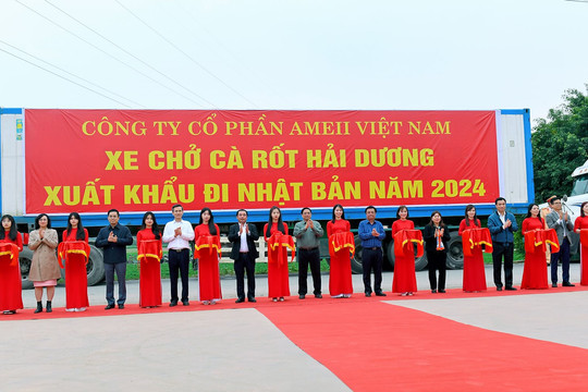 PM urges prompt resumption of work after Tet holiday