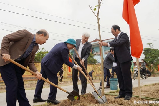 TP Hải Dương phấn đấu trồng hơn 18.300 cây xanh